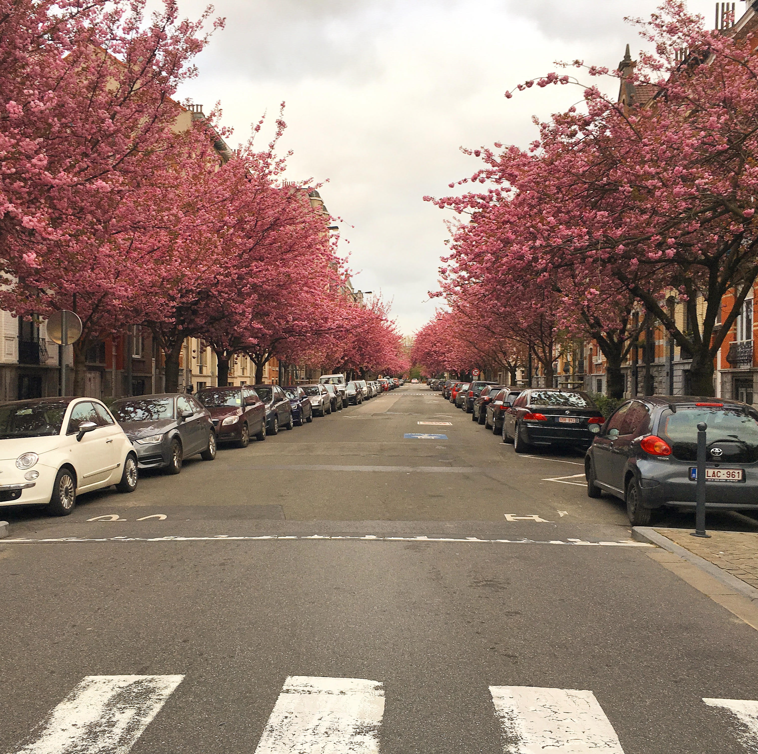 Life in Brussels: A Few Observations